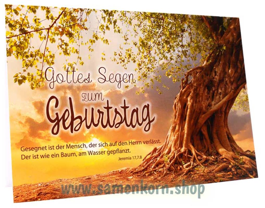 Faltkarte "Gottes Segen zum Geburtstag" / Jeremia 17,7-8