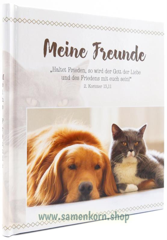 Meine Freunde / Buch