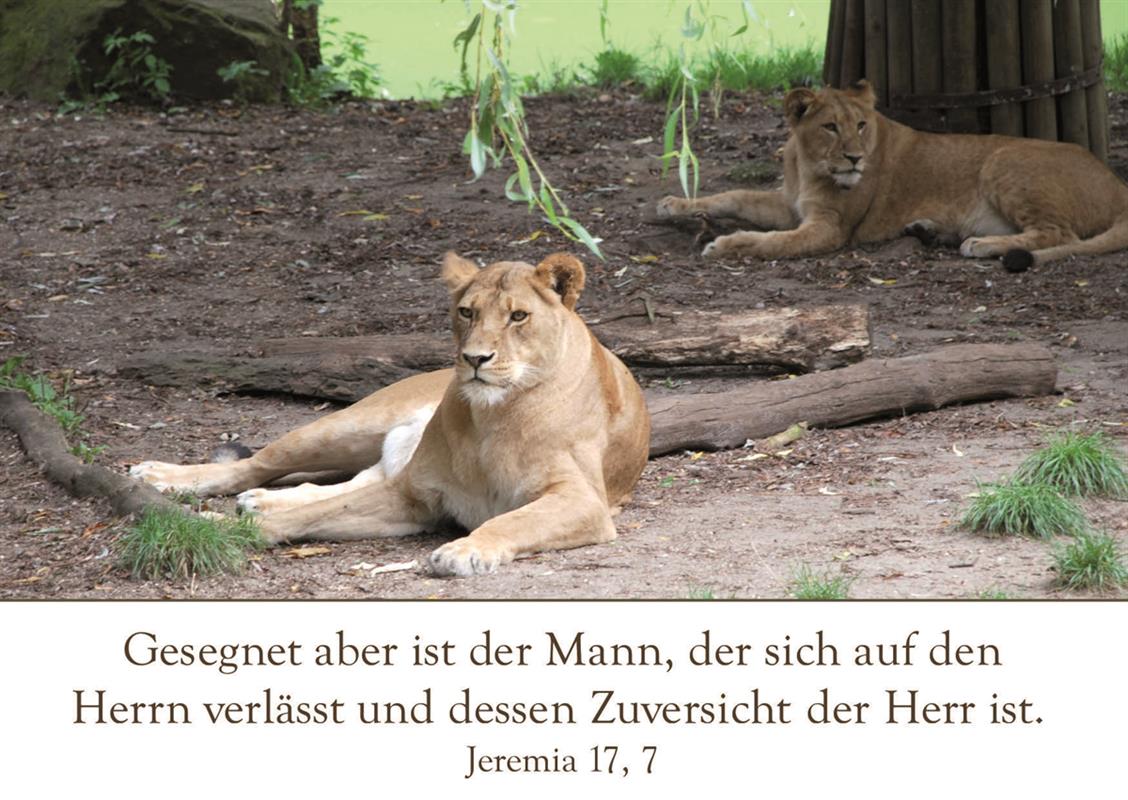 Postkarte zum Geburtstag / Jeremia 17,7