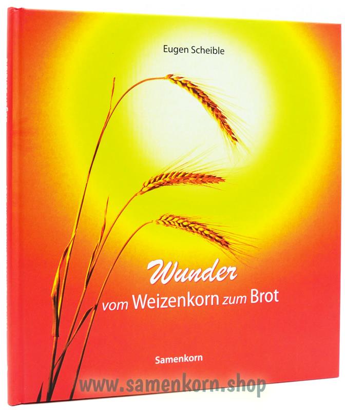 Bildbände von Eugen Scheible / 4-Bücher-Set