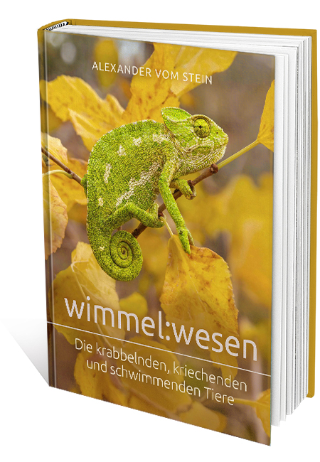 wimmel:wesen / Buch
