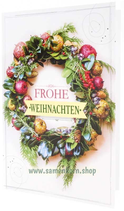 Faltkarte "Frohe Weihnachten" Gal.4,4