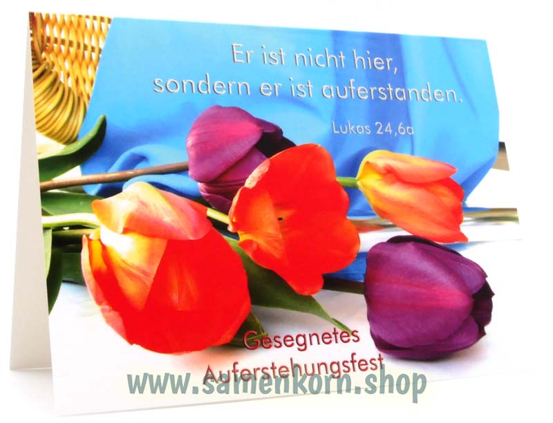 Doppelkarten zu Ostern / 5 Karten