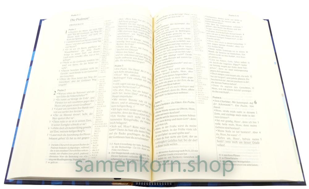 Elberfelder Bibel - Taschenausgabe - Motiv Glasfenster