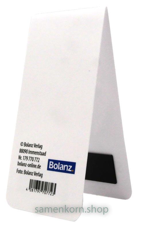 Magnetlesezeichen " Viel Segen für dich" Jos. 1,9