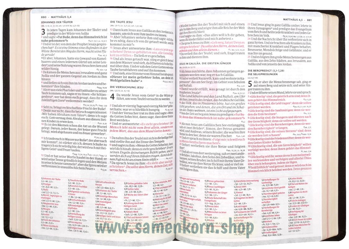 Luther21 F. C. Thompson Studienausgabe, Großausgabe - Lederfaserstoff bordeaux, GS / Buch