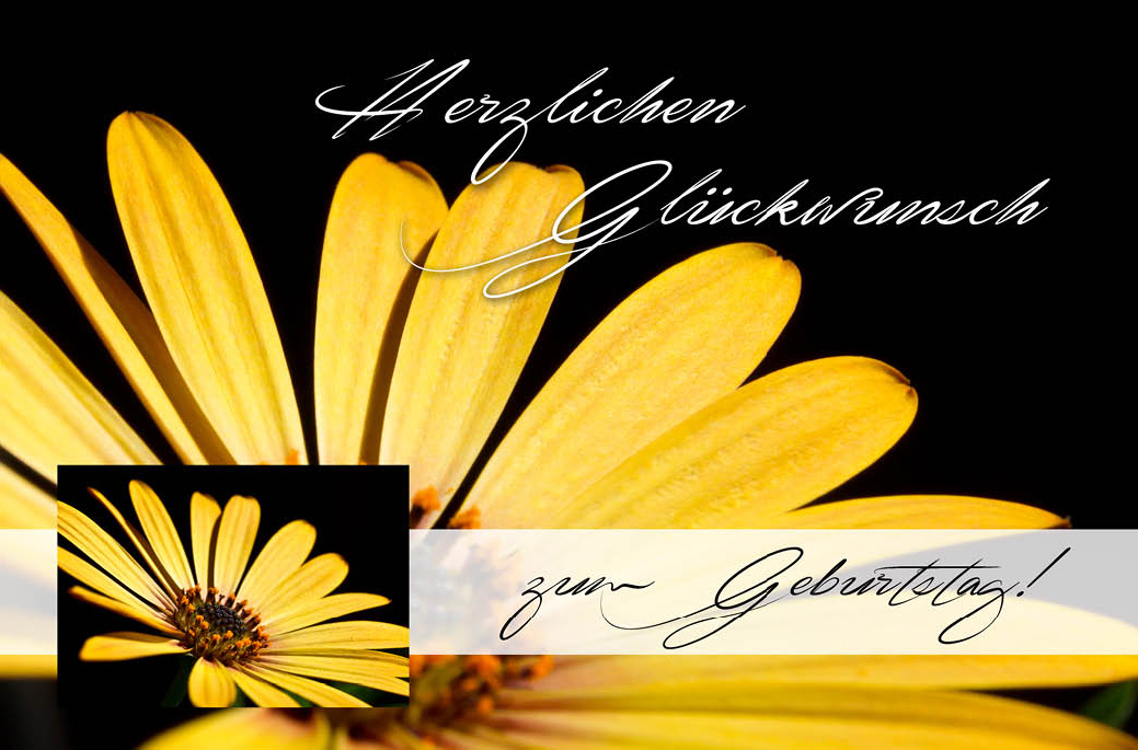 Doppelkarte "Herzlichen Glückwunsch zum Geburtstag"