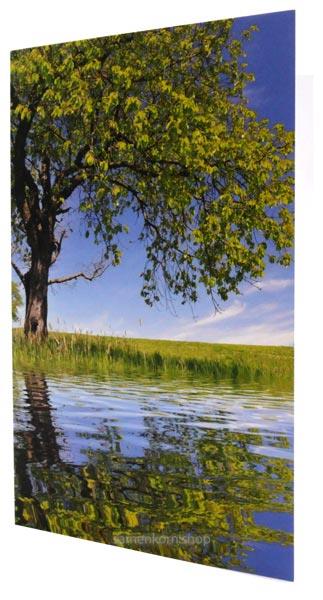 Faltkarte "Baum am See" Psalm 36,10