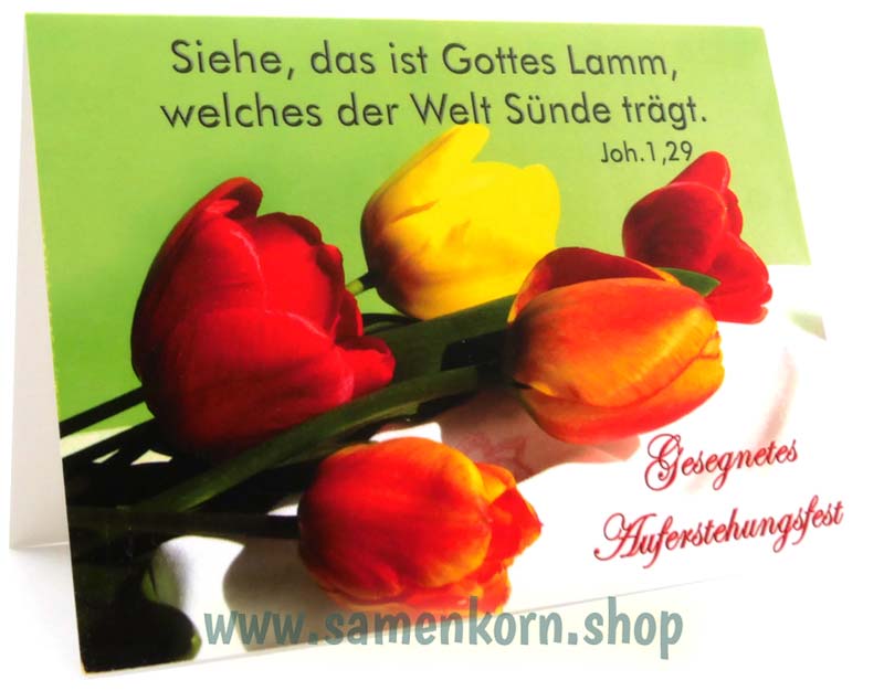 Doppelkarten zu Ostern / 5 Karten
