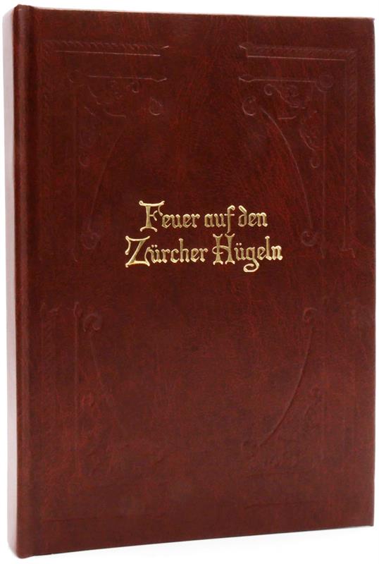 Feuer auf den Zürcher Hügeln / Buch