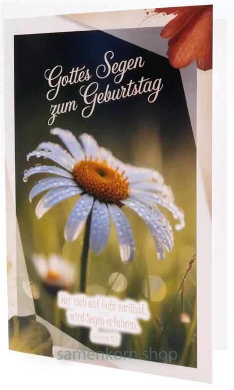Faltkarte "Gottes Segen zum Geburtstag" / Jer. 17,7