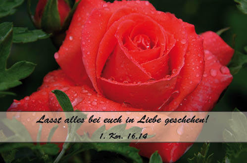 Doppelkarte "Lasst alles bei euch..."