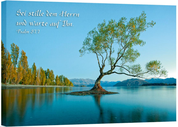 Baum Am See 1P Bild auf Leinwand Wandbild Poster Kunstdruck 