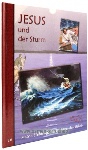 701216_Jesus_und_der_Sturm.jpg