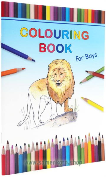 503388_Colouring_Book_for_Boys.jpg