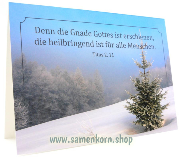 116135_Weihnachtskarte_Titus2112.jpg